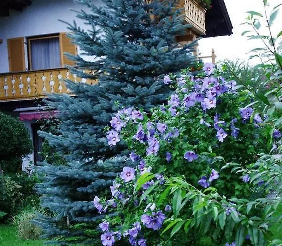 Gaestehaus Loedermann Inn Garmisch-Partenkirchen
