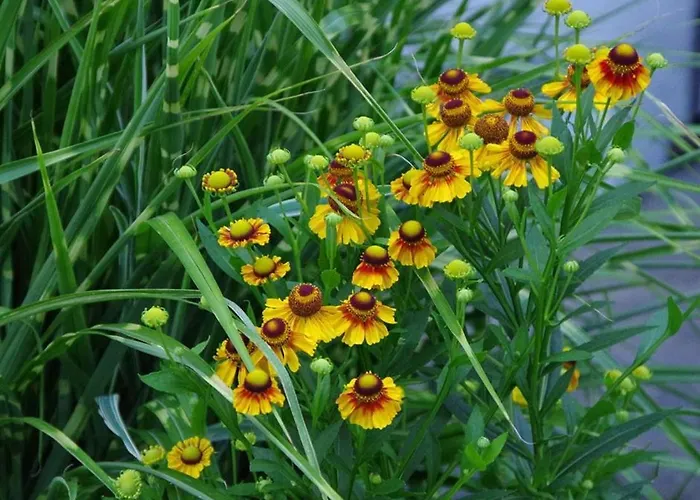 Gaestehaus Loedermann Garmisch-Partenkirchen